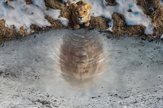 Der König in mir